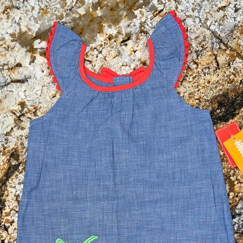 NWT Gymboree Blue Chambray W/Embroidered Strawberry Shift Dress
